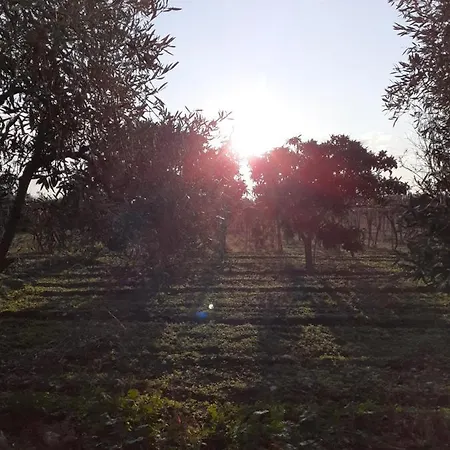 Bed & Breakfast Posta Piana Canosa di Puglia