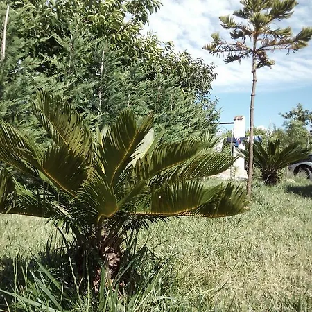 Posta Piana * Canosa di Puglia