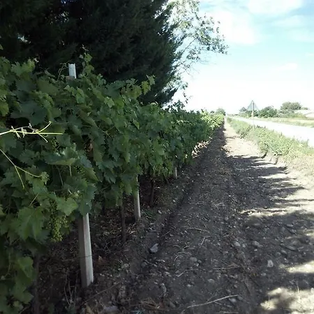 Posta Piana * Canosa di Puglia