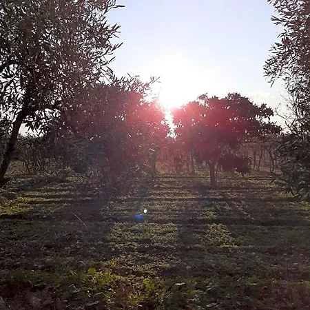 Posta Piana Canosa di Puglia