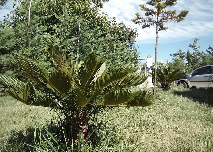 Posta Piana * Canosa di Puglia