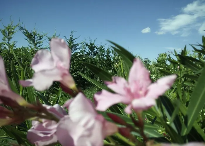 Bed & Breakfast Posta Piana *